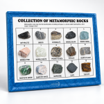 Collection of 15 Metamorphic Rocks